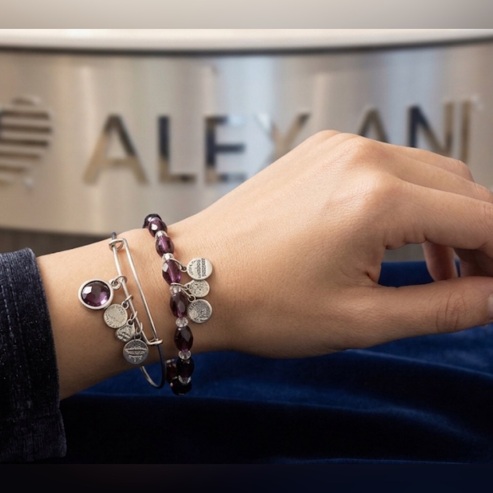 Set of 2 Alex and Ani vintage Amethyst February Birthstone Bangles silver finish